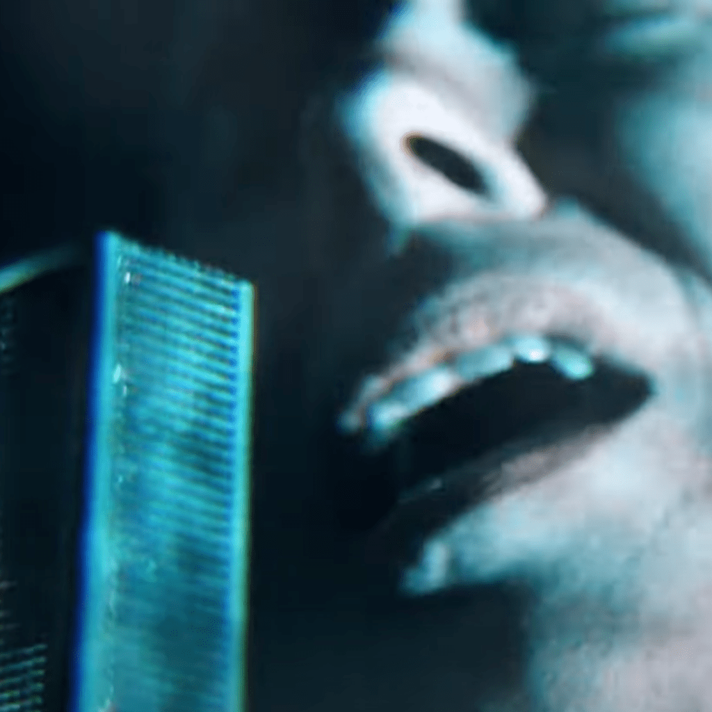 NO DEVOTION - Starlings