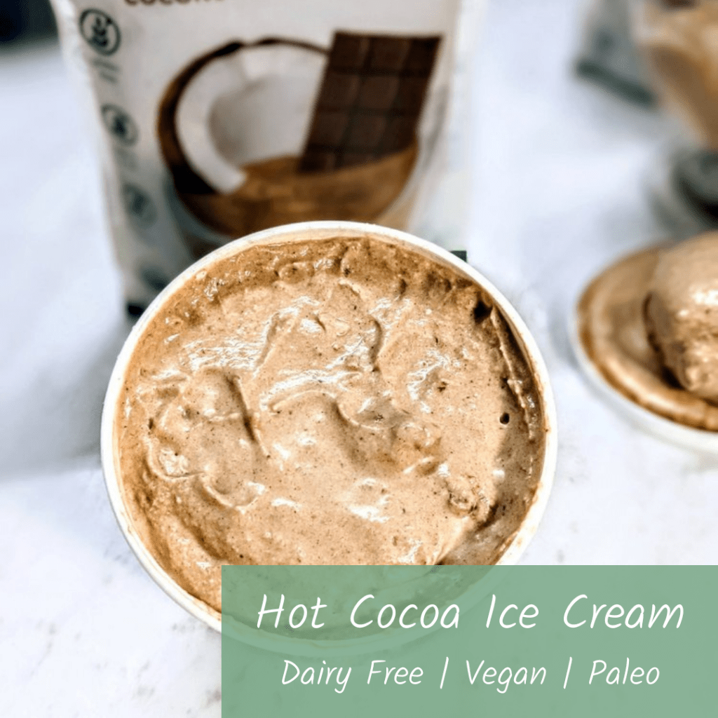 Dairy-Free Hot Cocoa Ice Cream Recipe 