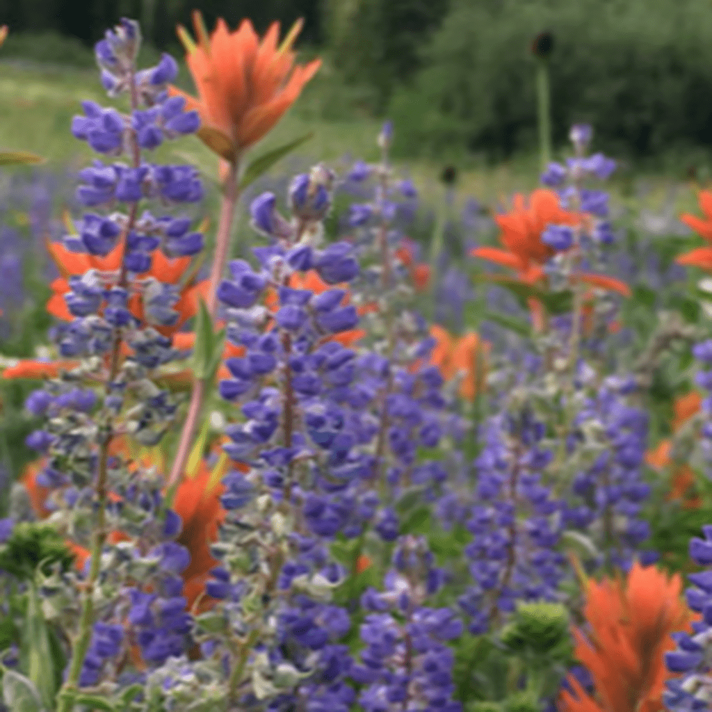 Wildflower Hikes