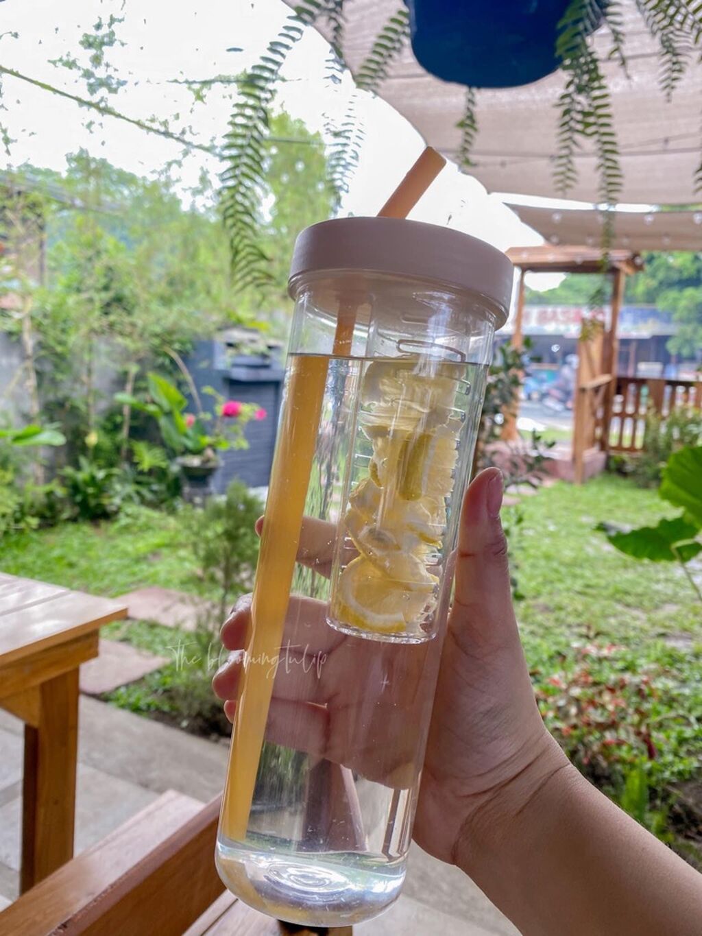 Water Infuser Bottle