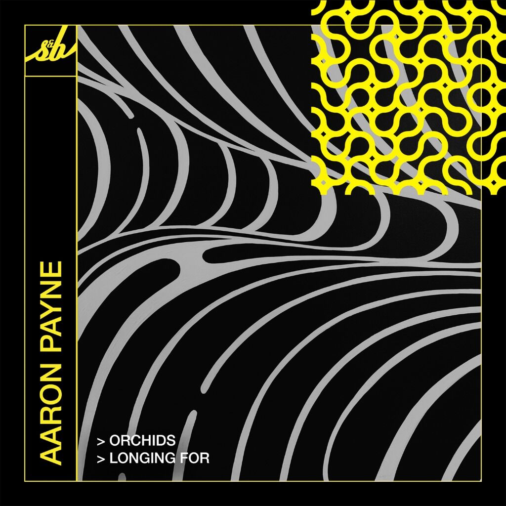 SNB102 - Aaron Payne - Orchids/Longing For Ft. d.e.o.n 