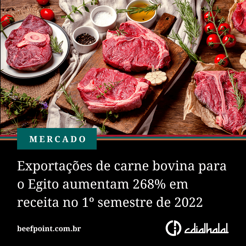 Exporta&ccedil;&otilde;es de carne bovina para o Egito aumentam 268% em receita no 1&ordm; semestre de 2022