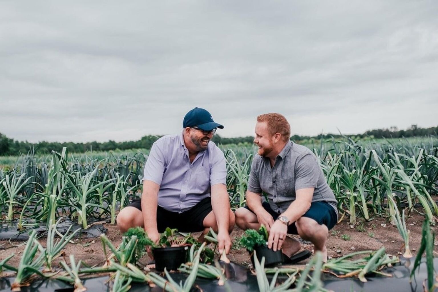 Ontario&rsquo;s Southwest Signature Experiences