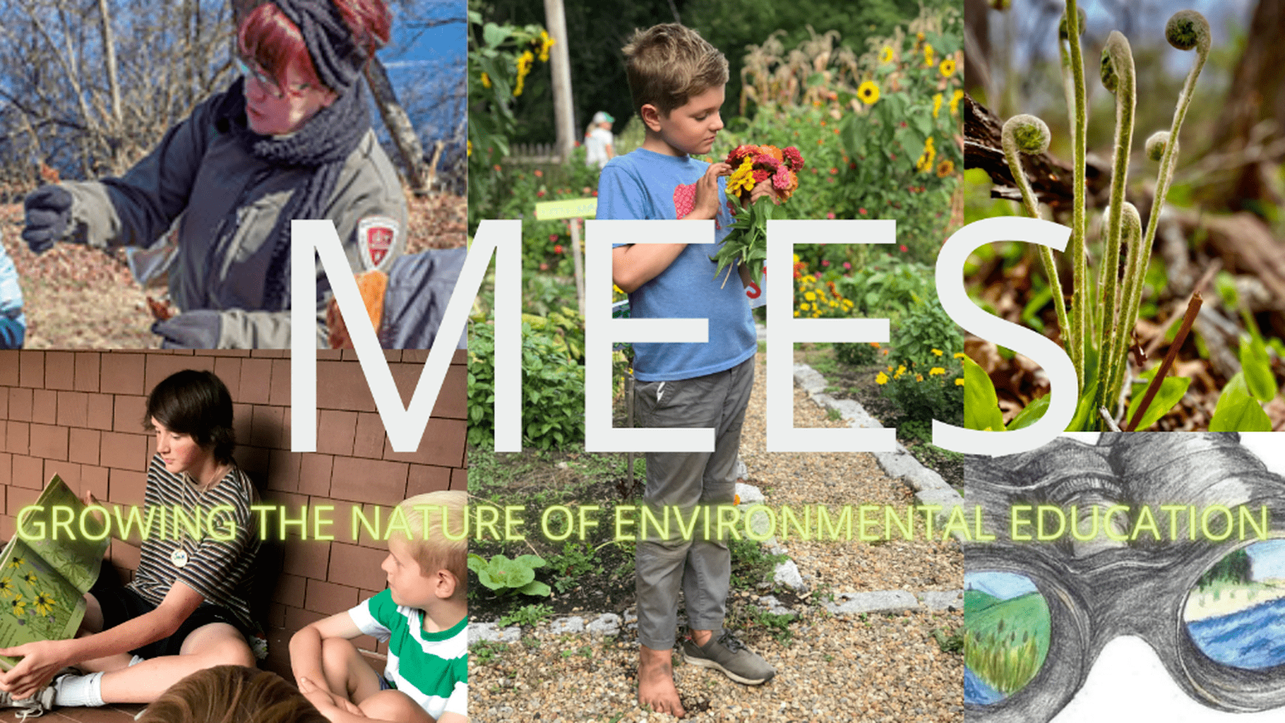 MEES Website