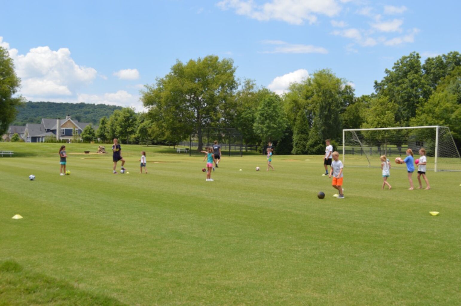 New Discovery Club Programs at The Grove