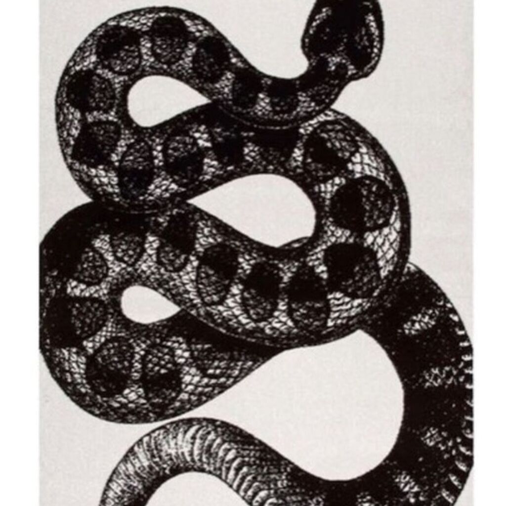 Snake Rug