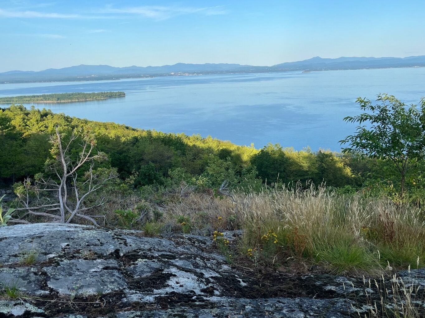 Upcoming Events & Hikes 