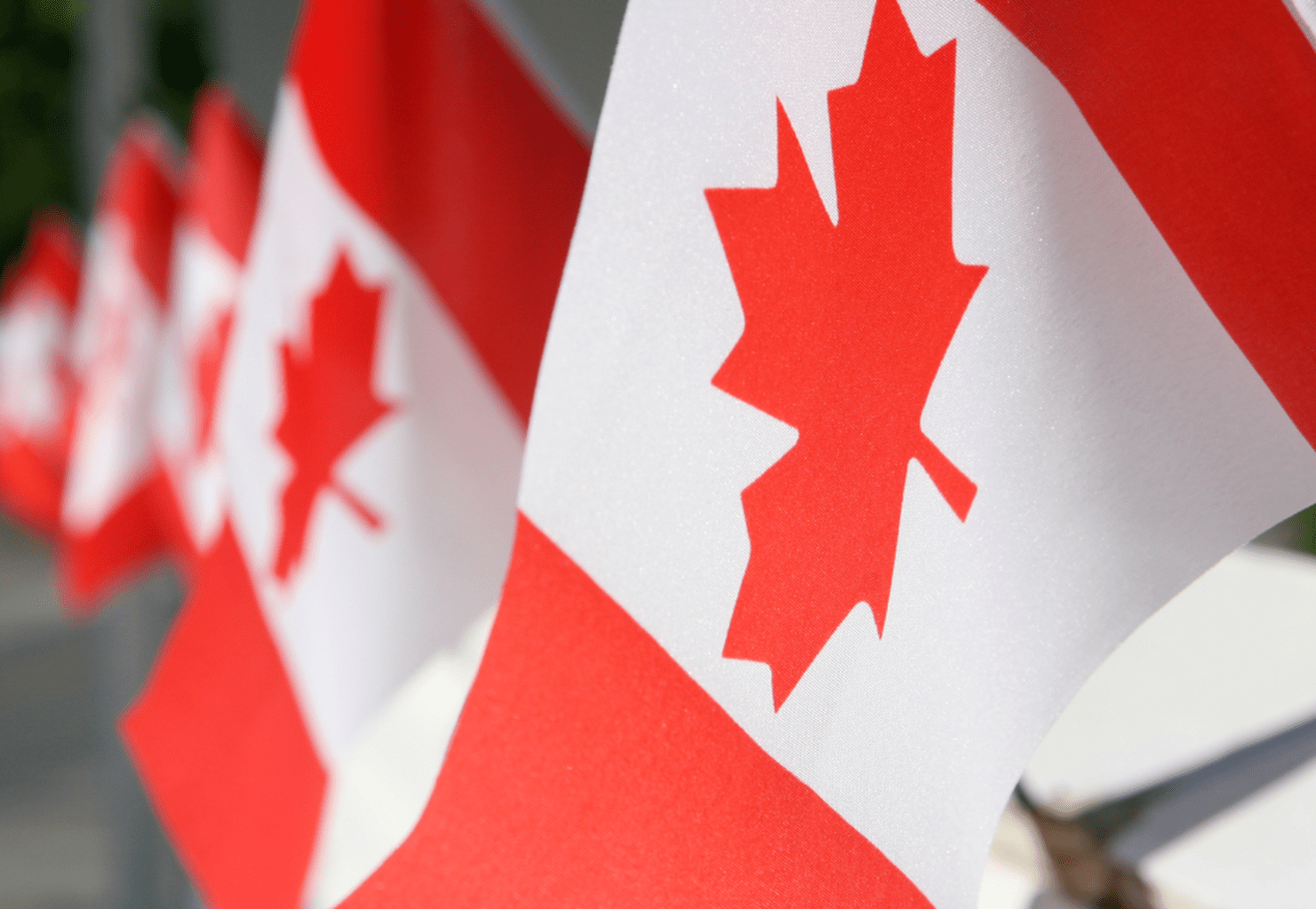 New Canadian Fast-Track Immigration Path in the Works