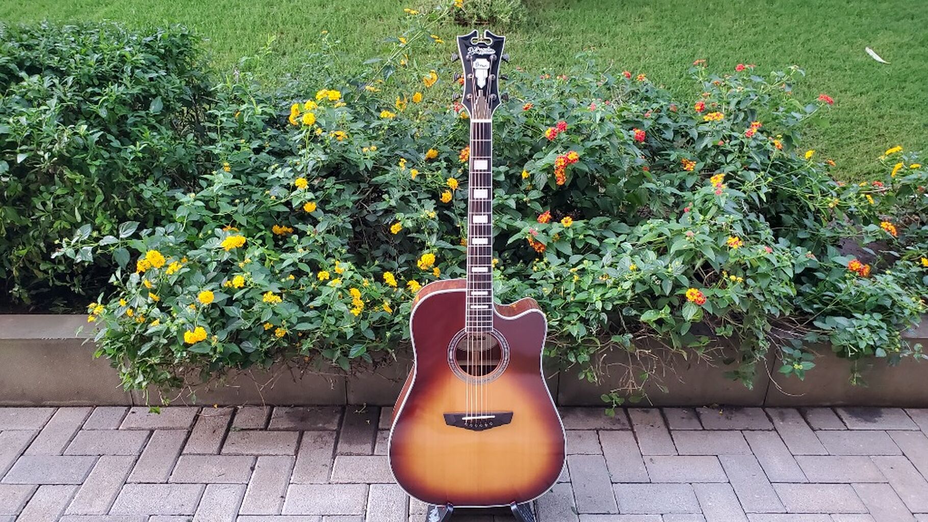 Acoustic Guitar Reviews
