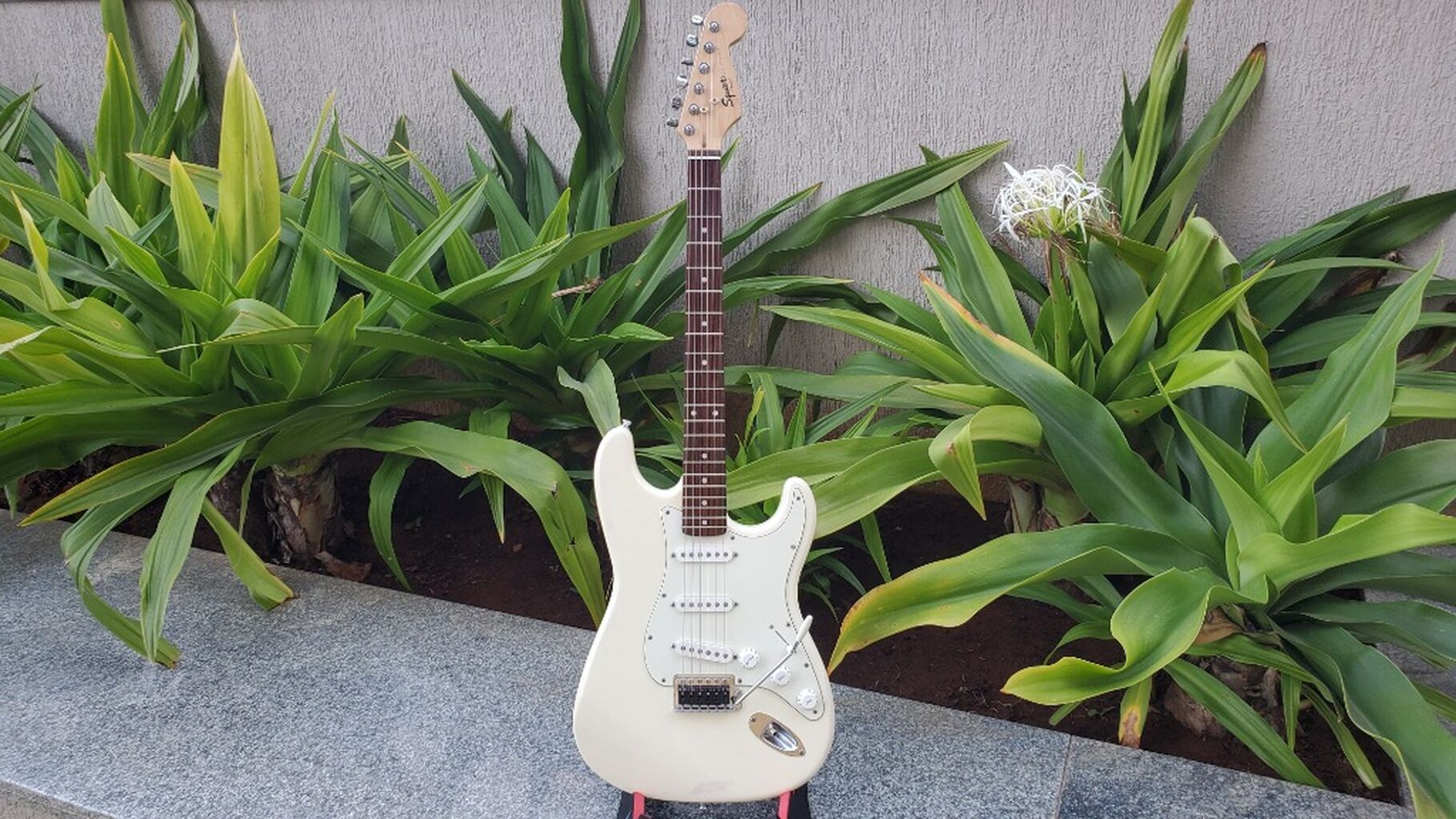 Electric Guitar Reviews