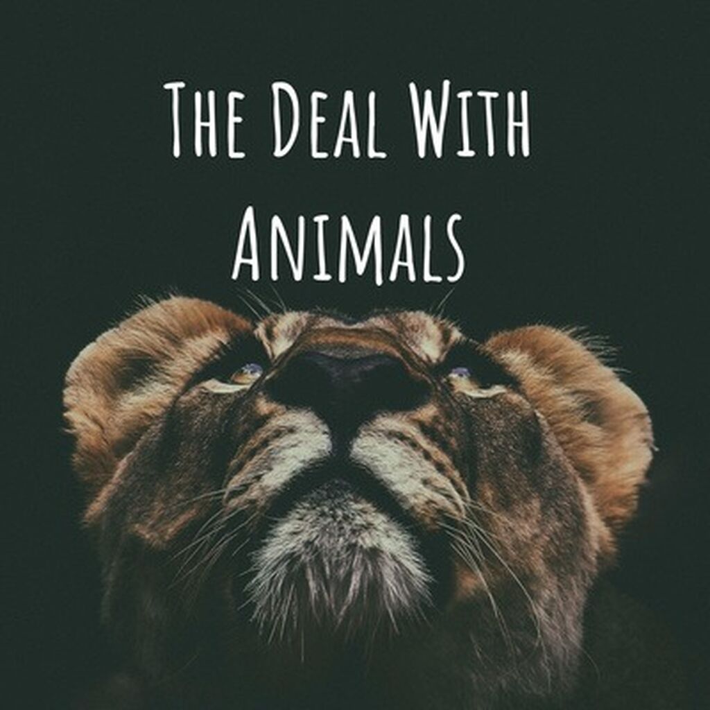Theme for "The Deal with Animals" Podcast