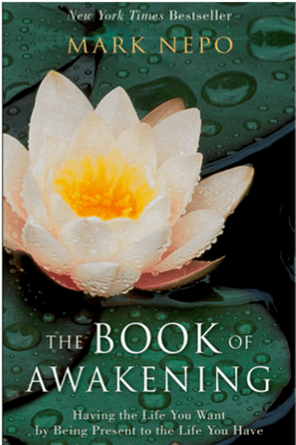 The Book of Awakening By: Mark Nepo