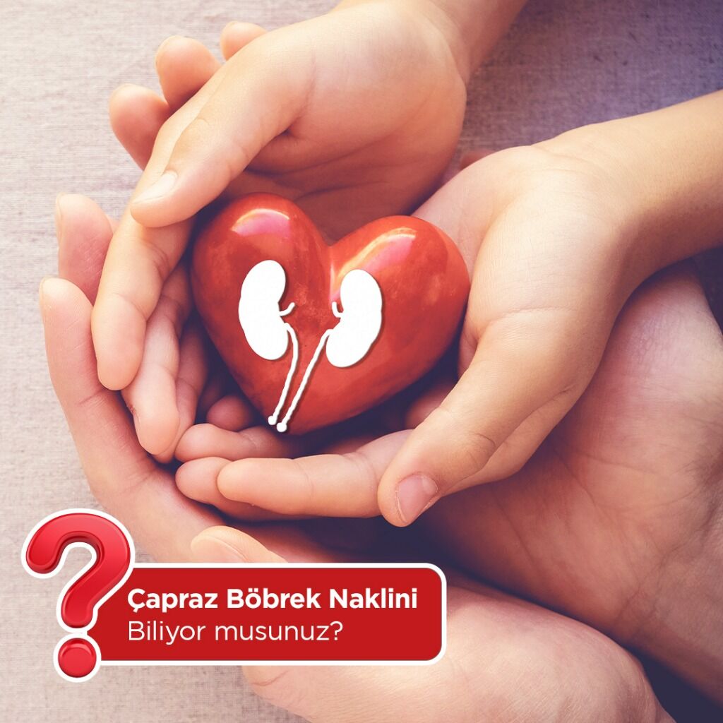 &Ccedil;apraz B&ouml;brek Nakli