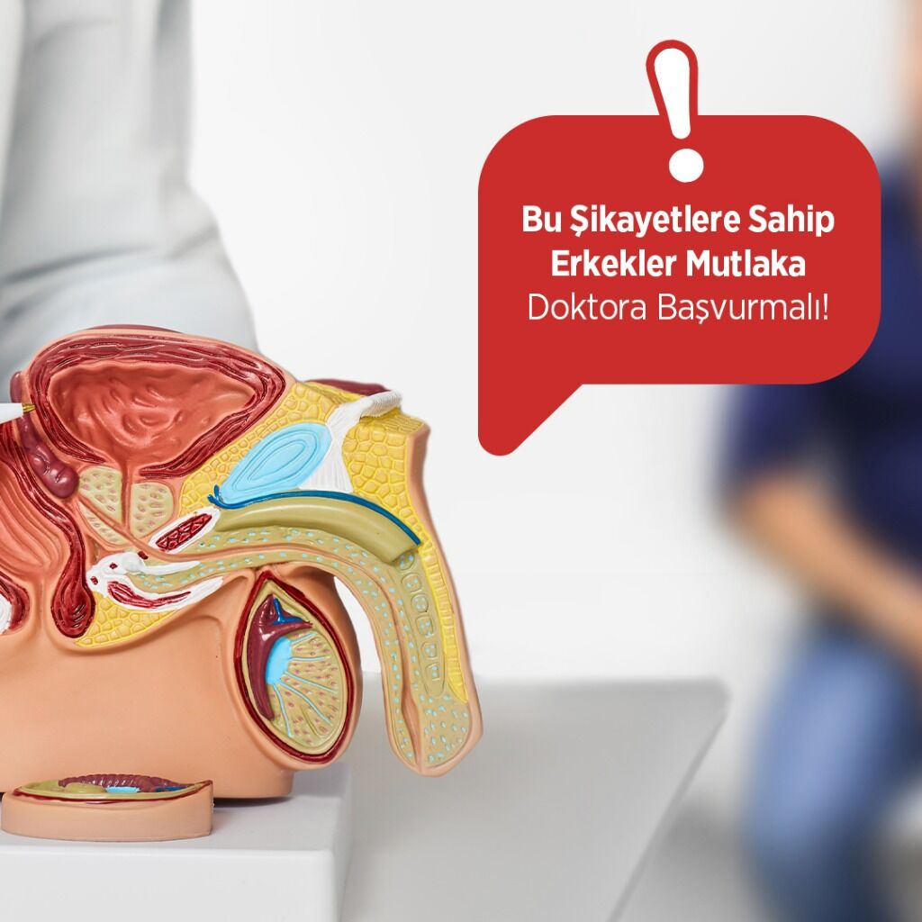 Erkeklerde İdrar Problemleri