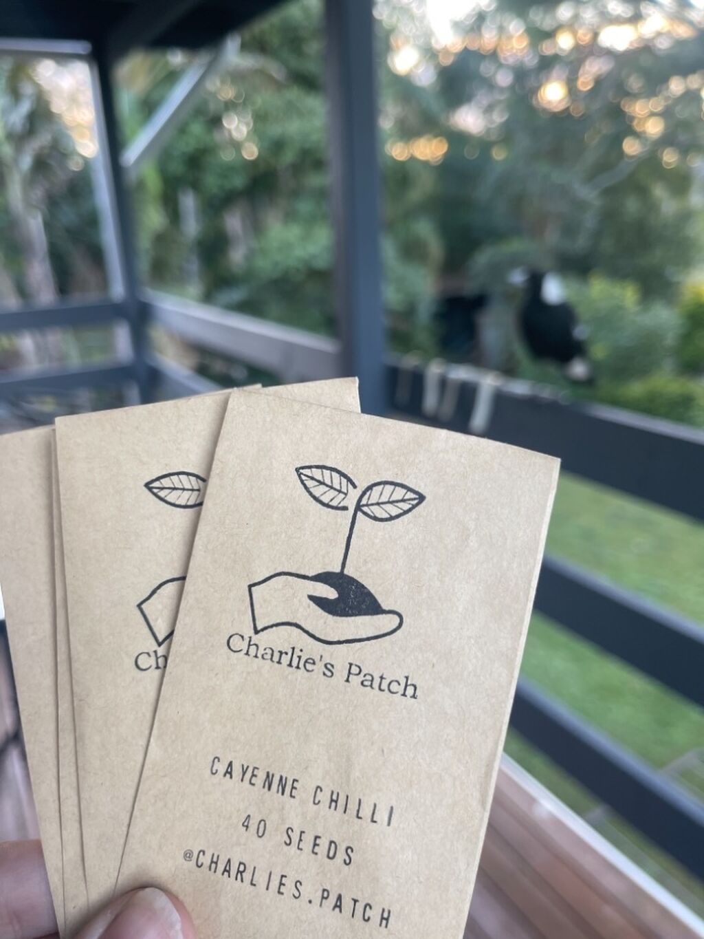 Charlie&rsquo;s Patch- Use code &lsquo;RACH10&rsquo; for 10% off (orders over $10 storewide)
