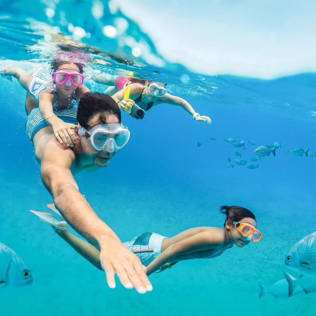 Family Vacation Ideas Everyone Will Love