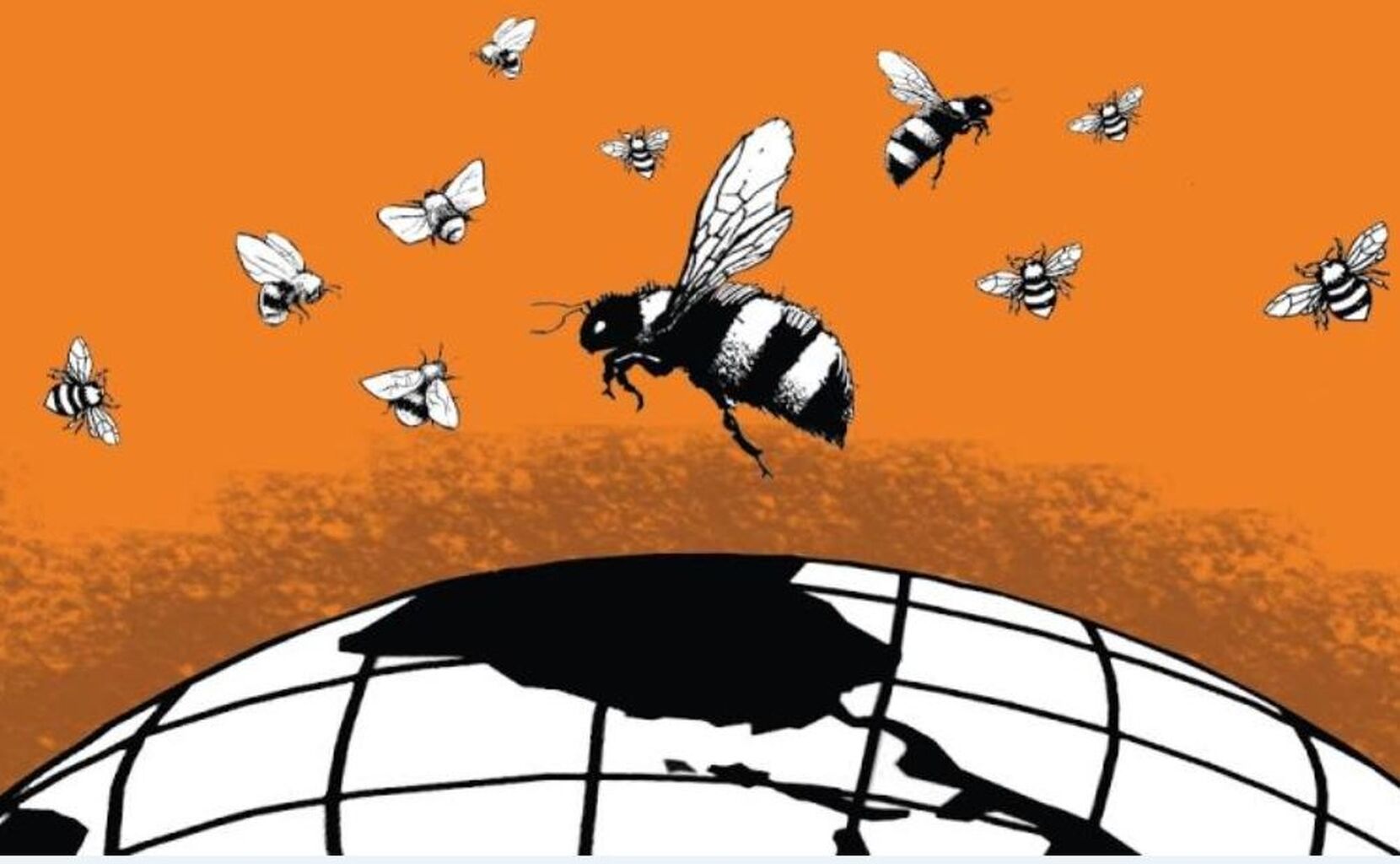 Richard Vigne's Article on Insects