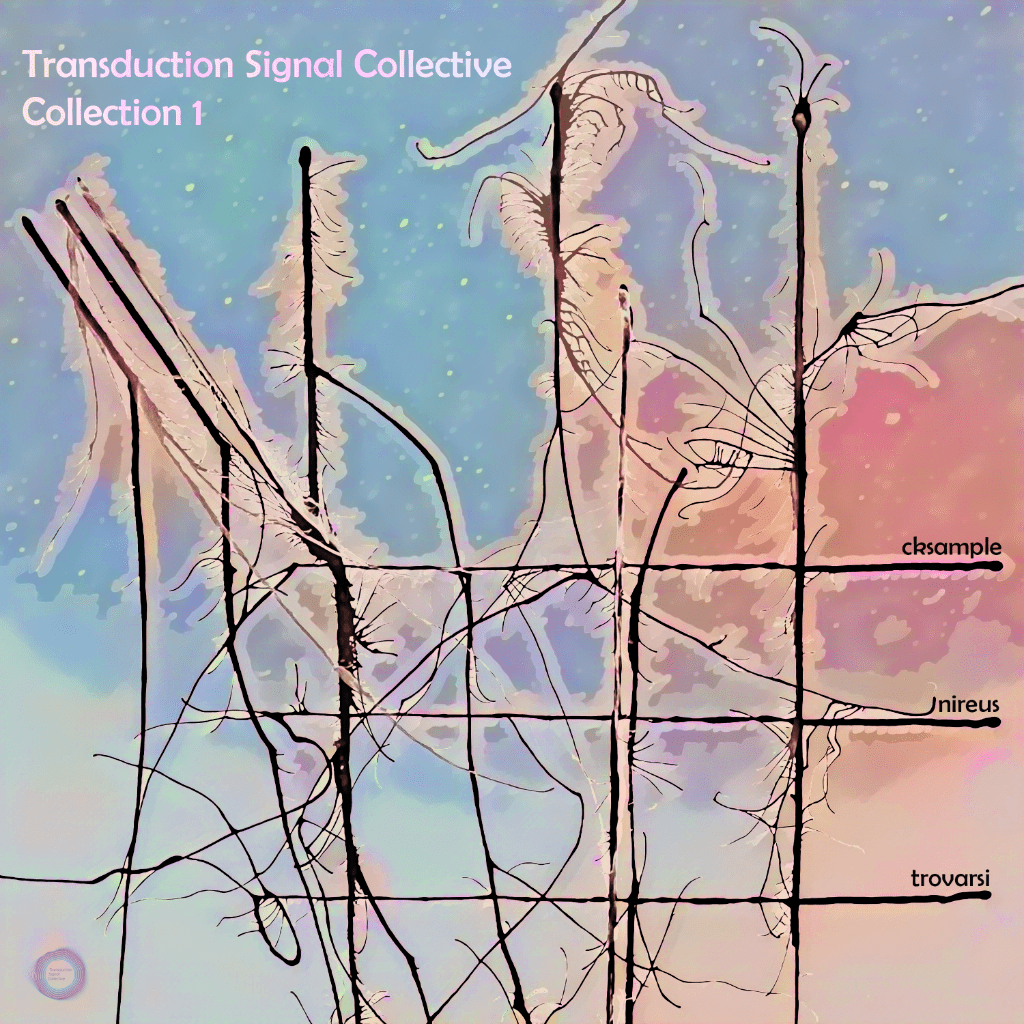 Transduction Signal Collective - Collection 1
