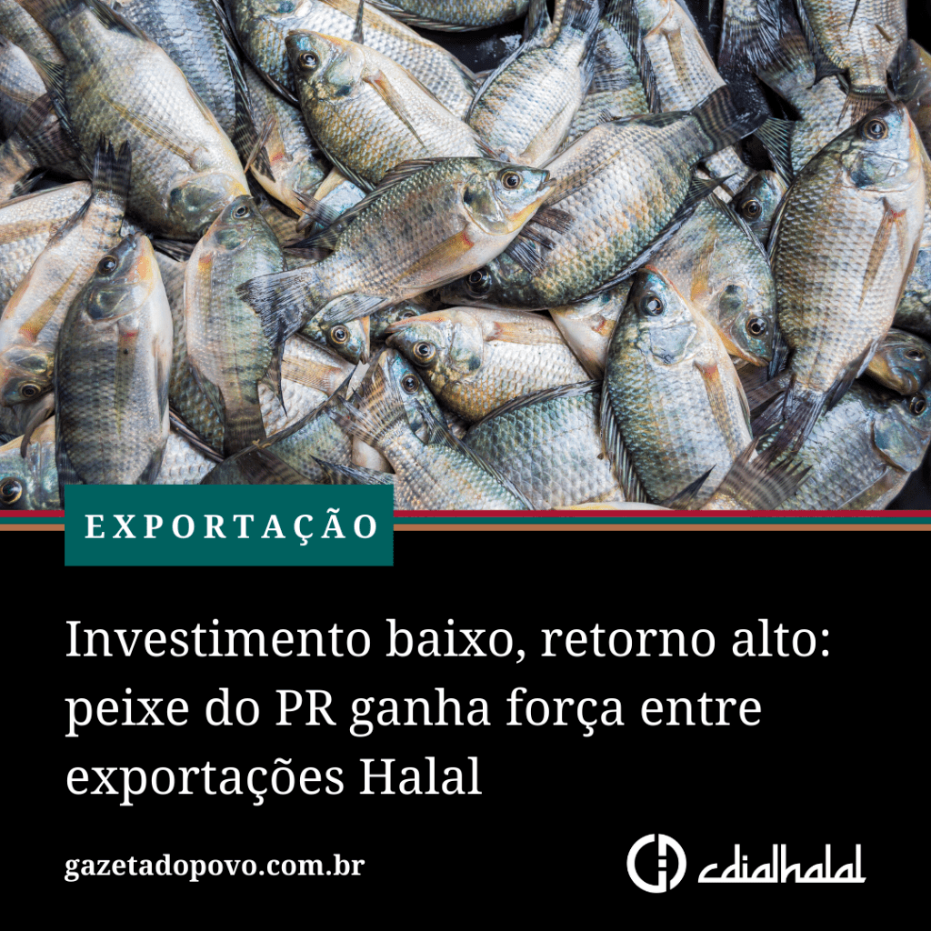 Investimento baixo, retorno alto: peixe do PR ganha for&ccedil;a entre exporta&ccedil;&otilde;es Halal