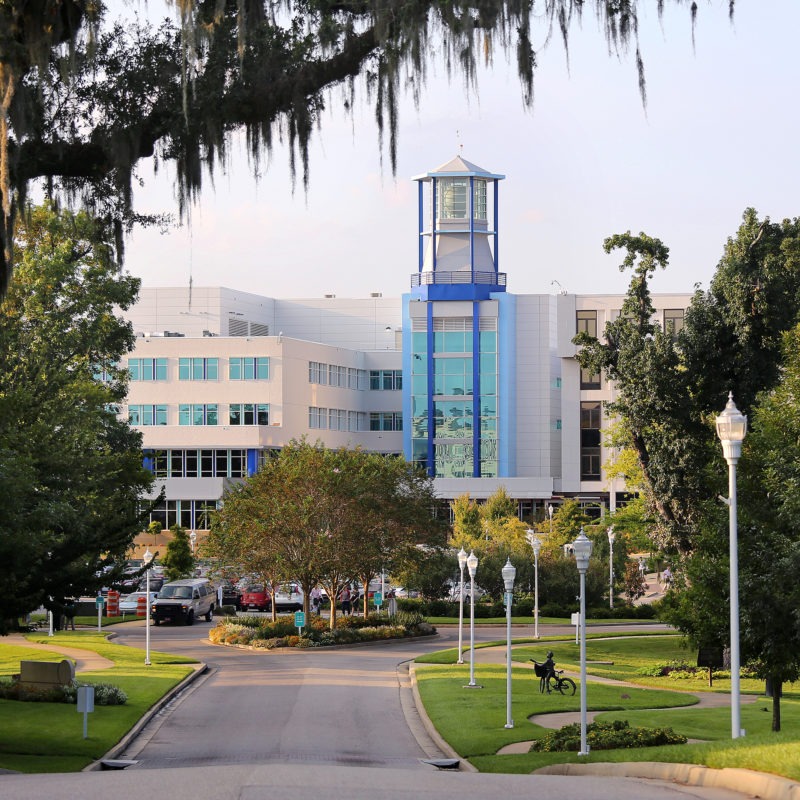 Children's & Women's Hospital Website