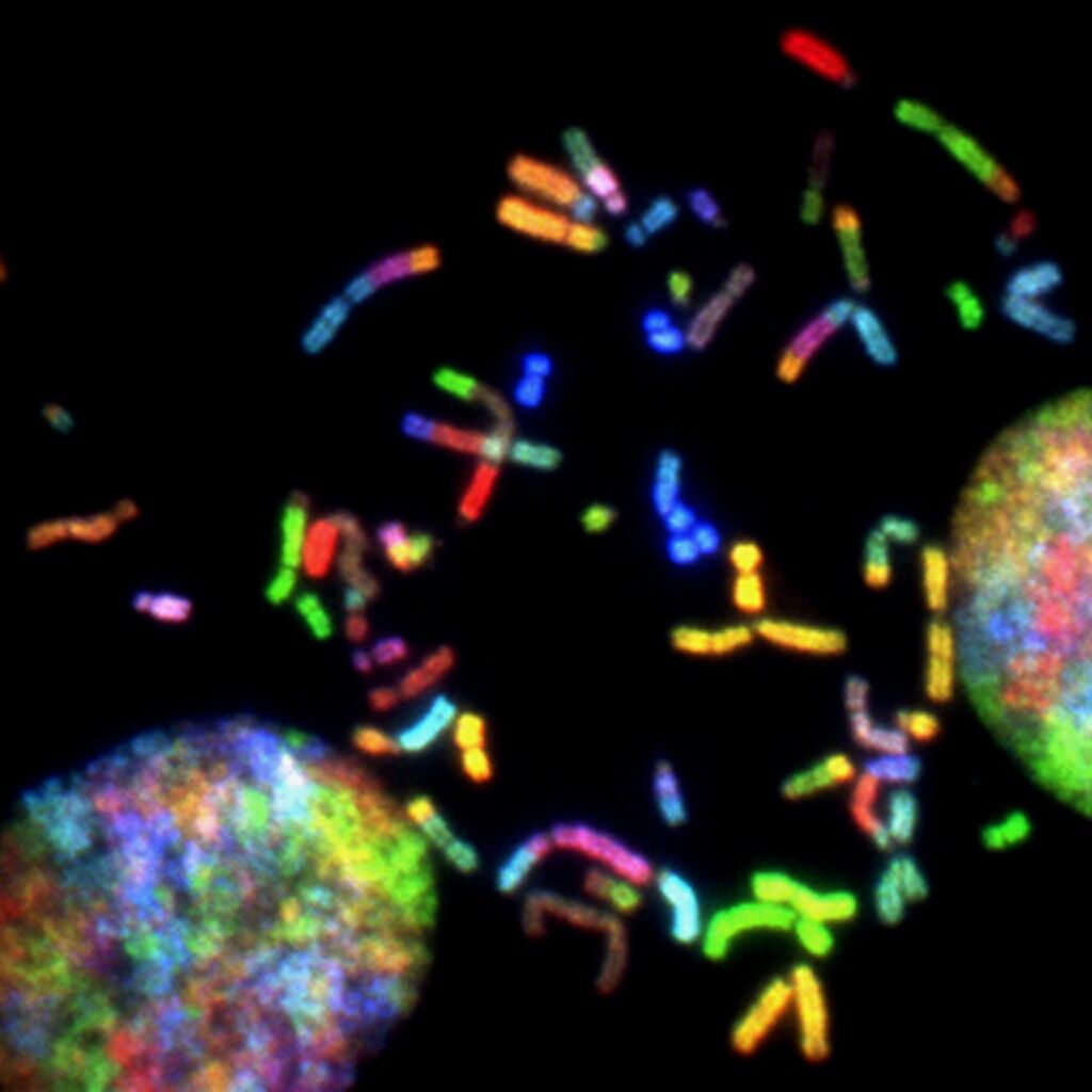 🧬 A brief history of synthetic biology