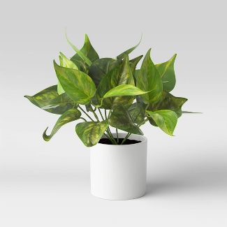Plant