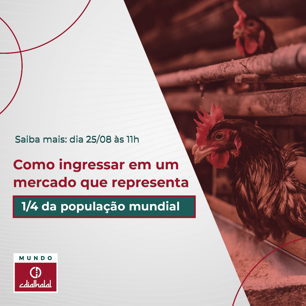 Mundo CDIAL Halal