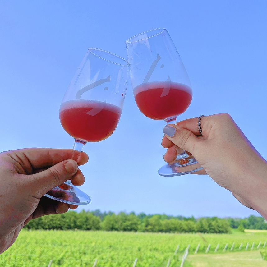 Wine Slushies