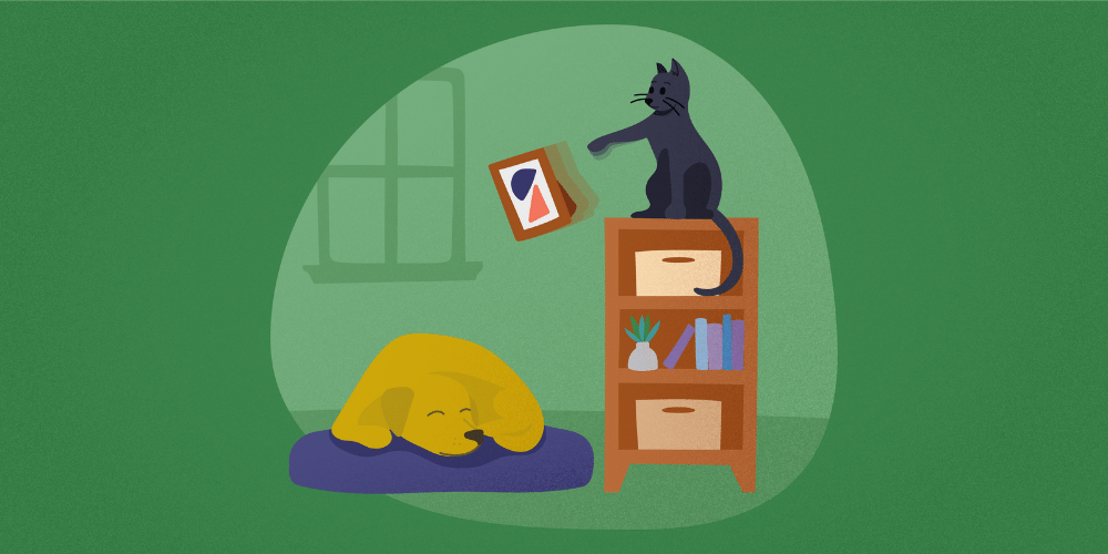 Your Definitive Guide to Pet Sitting Insurance