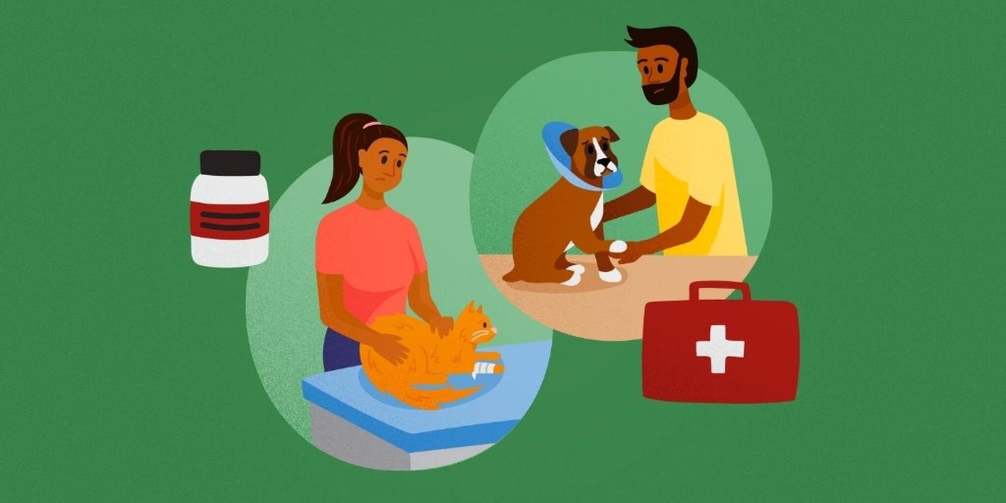 Pet First Aid for Dog Walkers and Pet Sitters