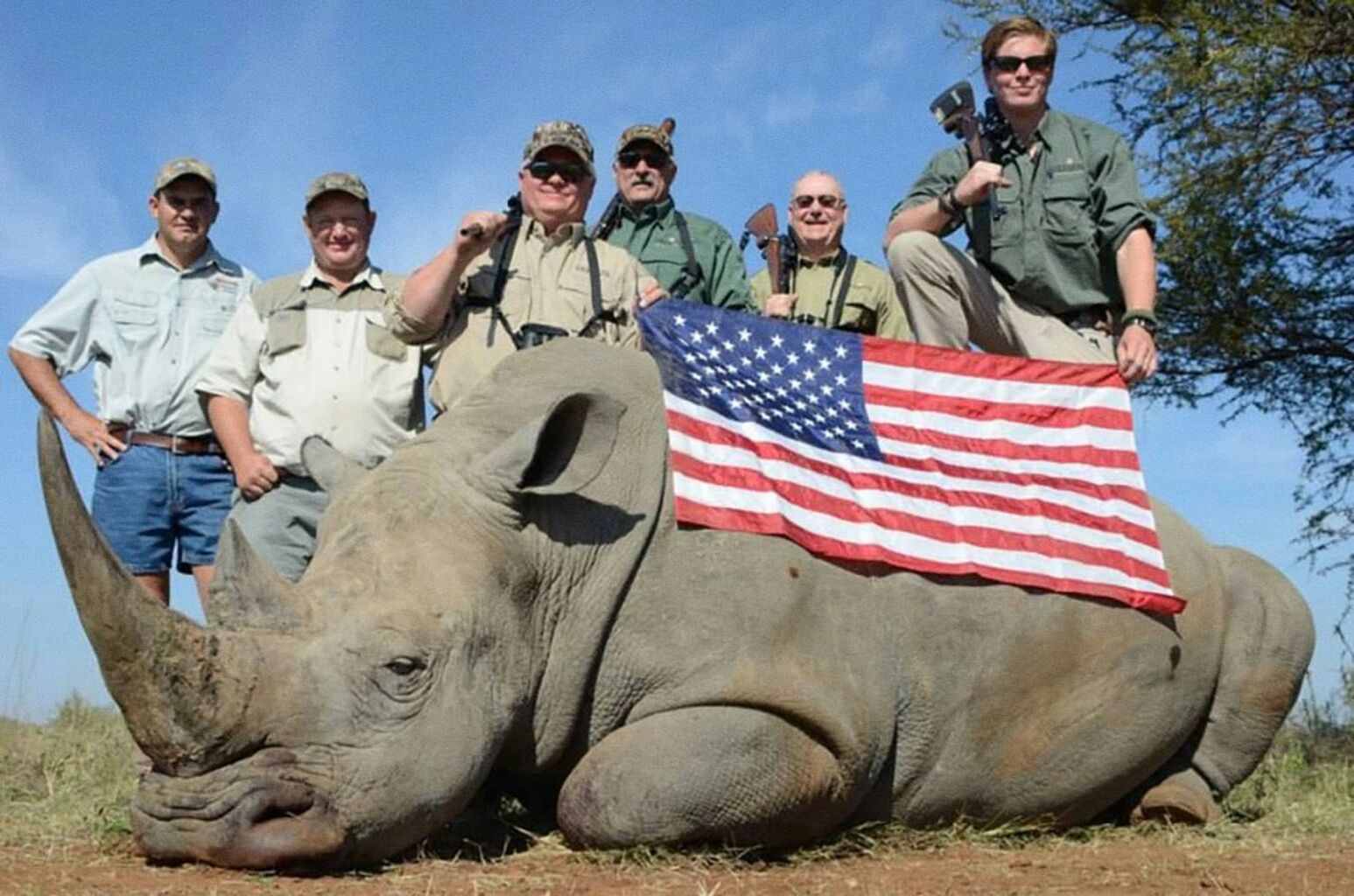  at least 105 000 wild animals are shot and killed by European and American trophy hunters across Africa each year.