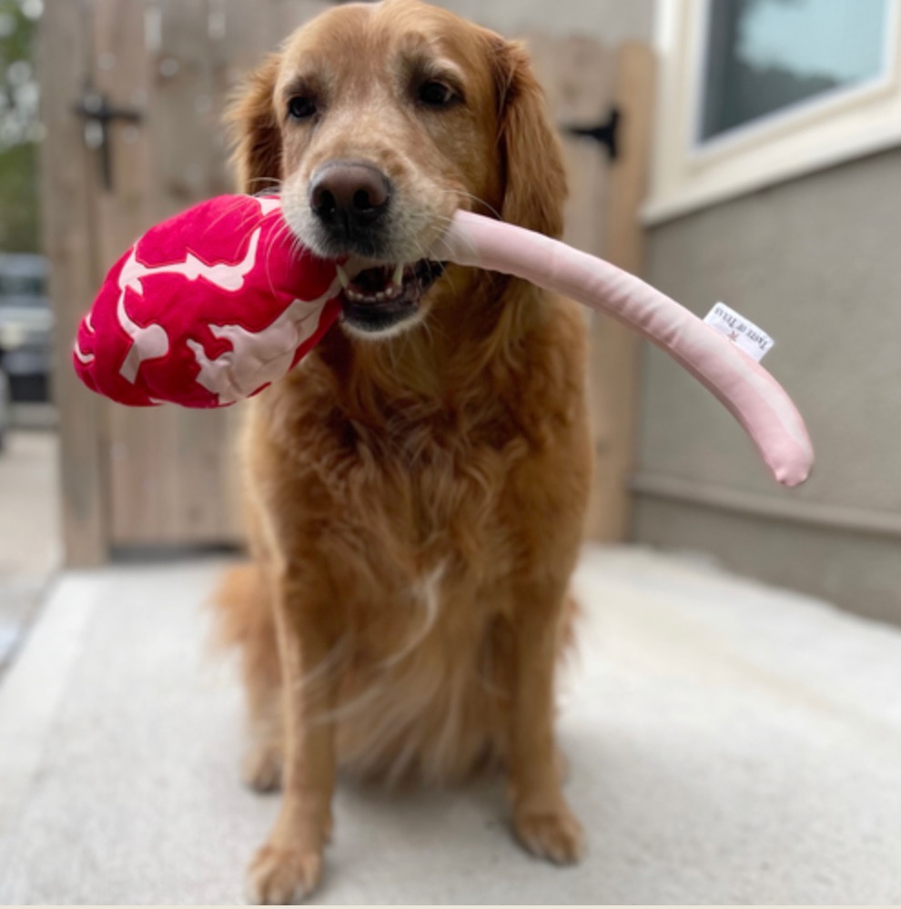 Tomahawk Dog Toy