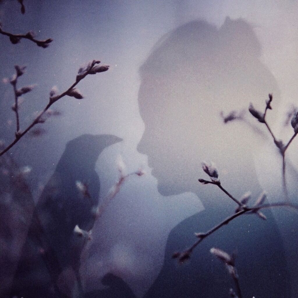 A Persistent Dream