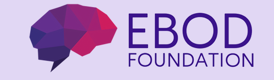 Our Website