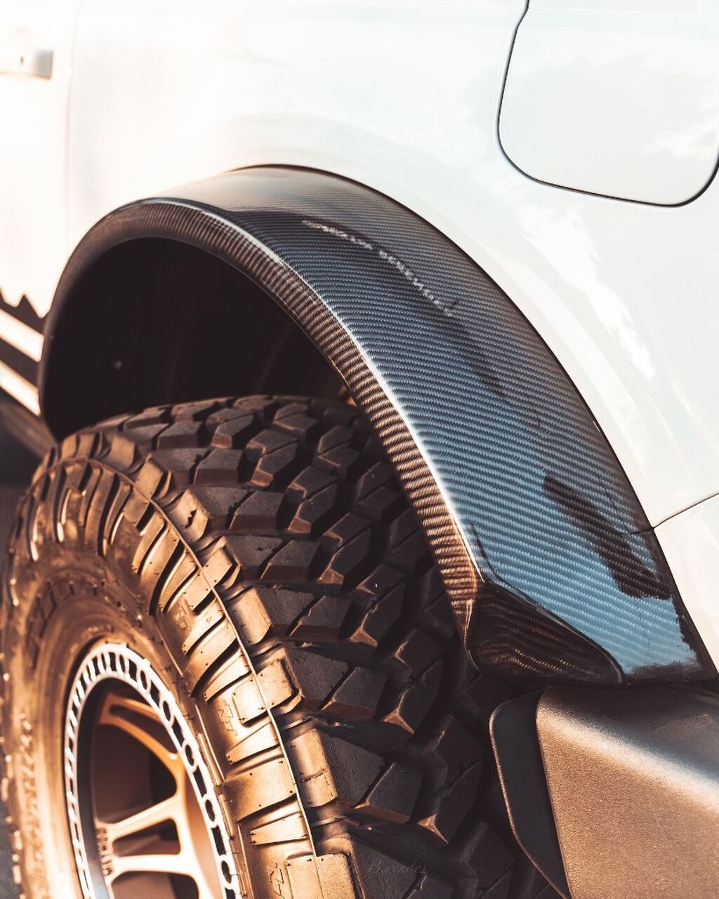 LVL UP CARBON FENDERS 