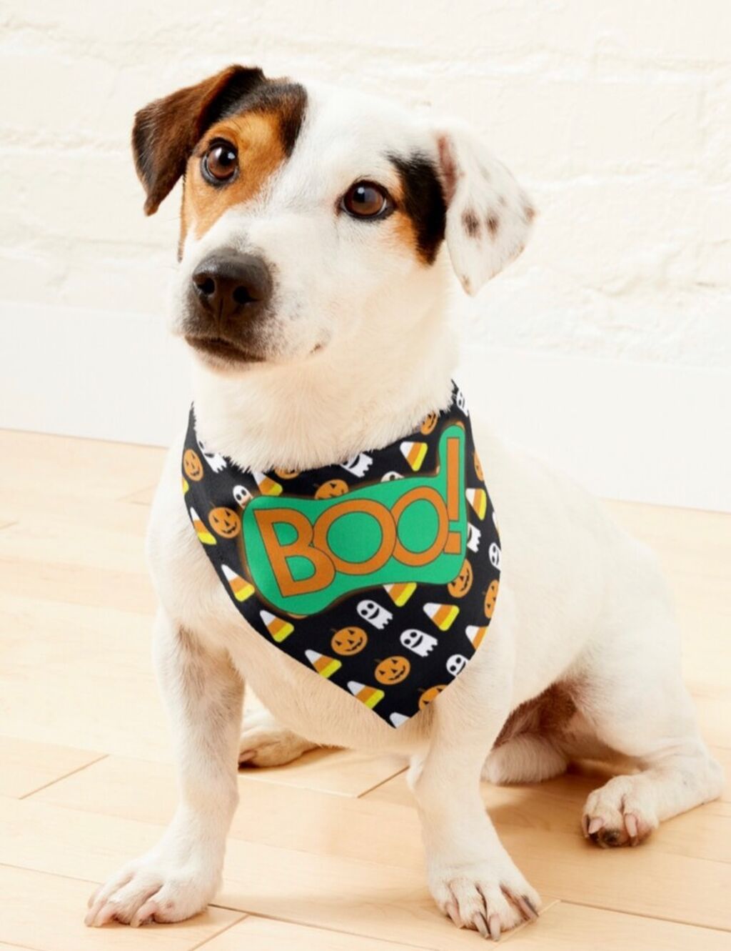 Boo! Design 