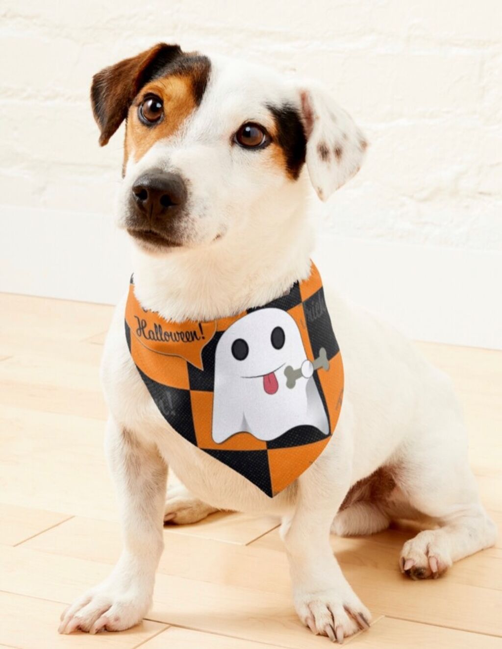 Ghost Pet Bandana 