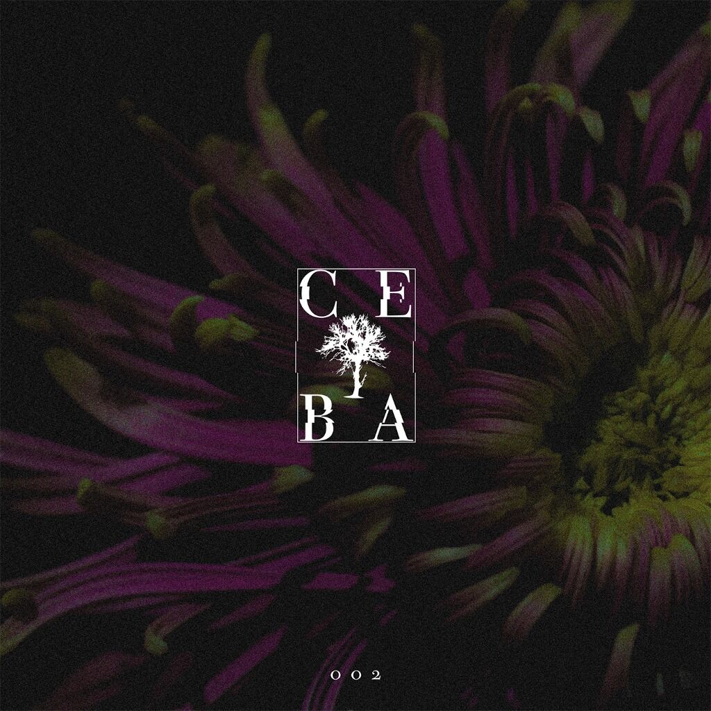 CEB002 - Earth by Stefan Vincent , Albert Chiovenda , Jeroen Search & FLAWS , Tuber