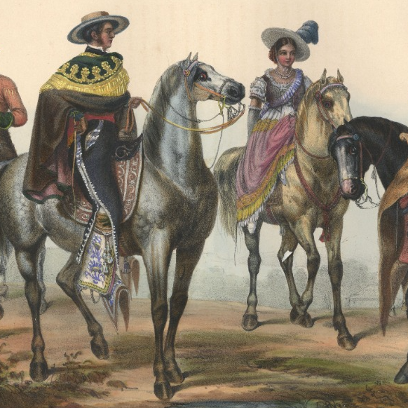 Collection Insights Mexican, South and Central American Equestrian Equipment