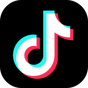 Gaming TikTok