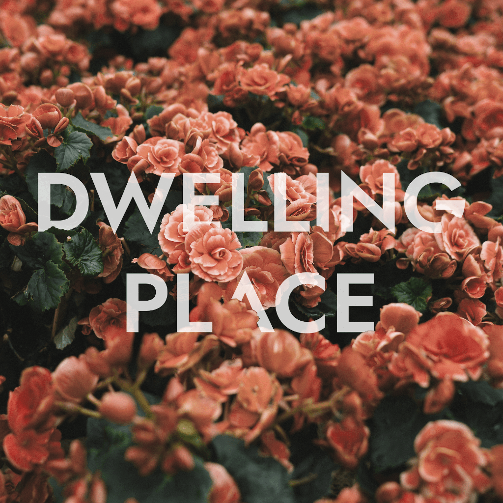 STREAM DWELLING PLACE 🤍