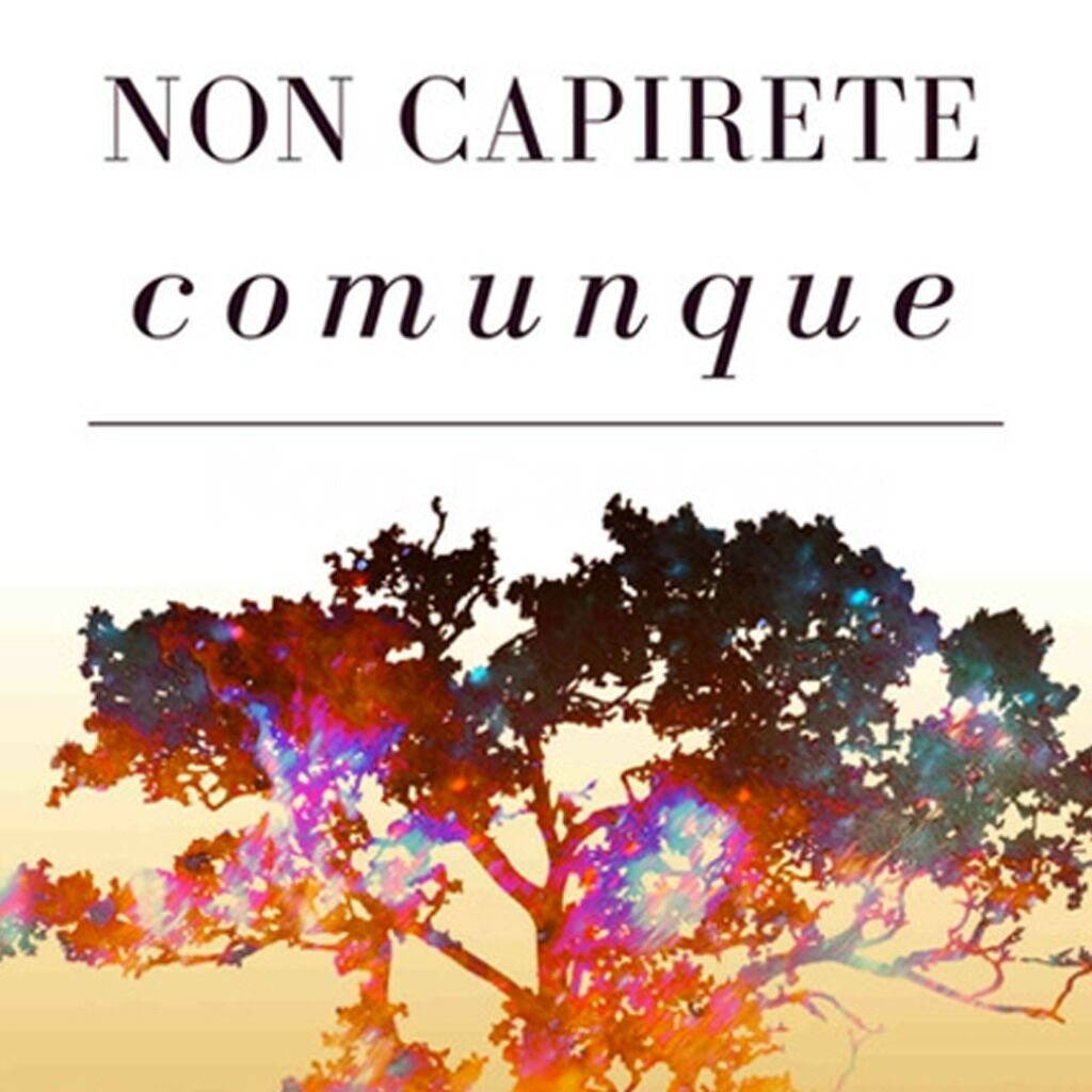 NON CAPIRETE COMUNQUE