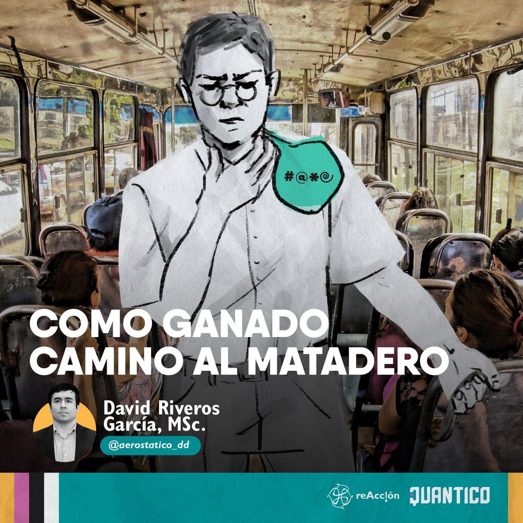 Como ganado camino al matadero