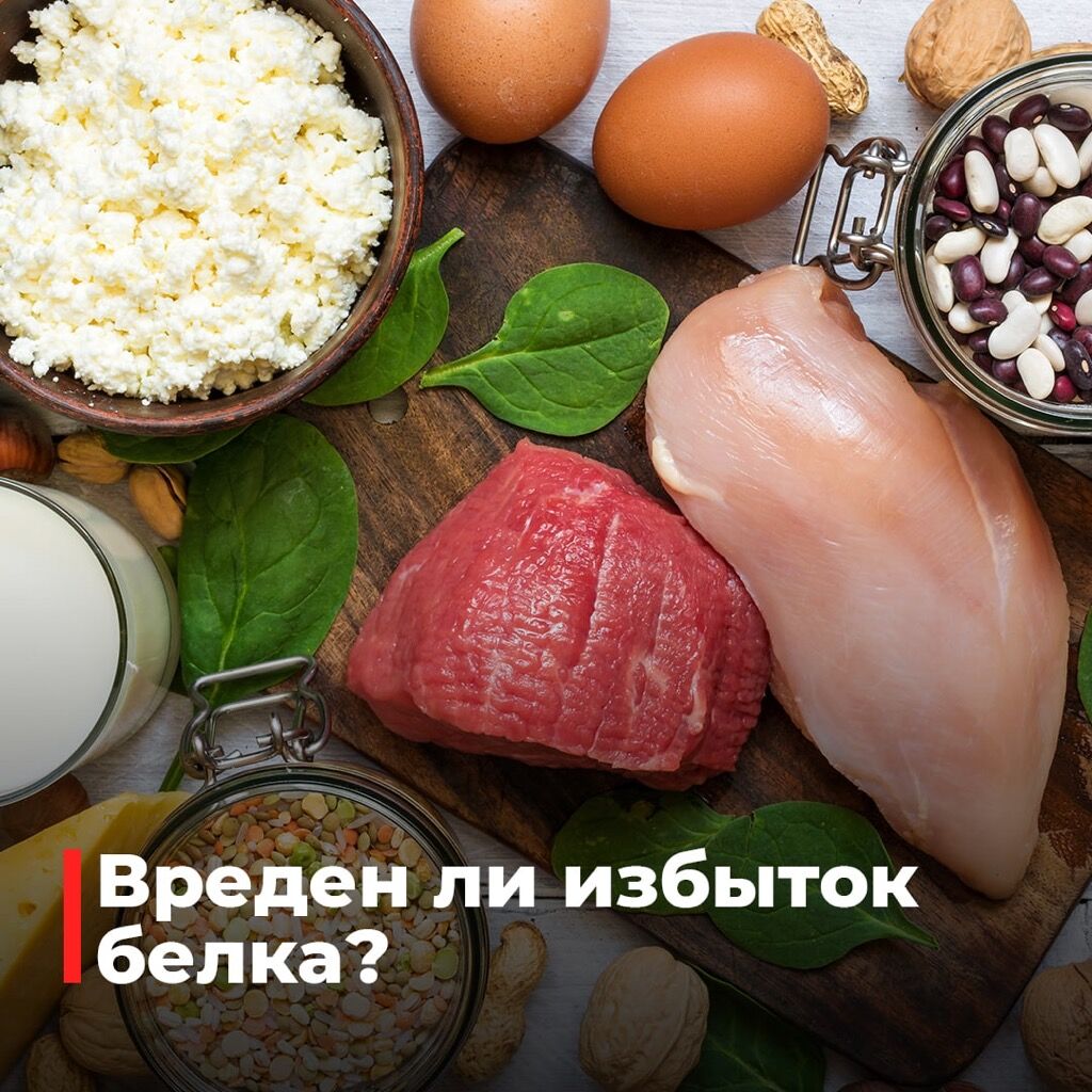 Избыток белка