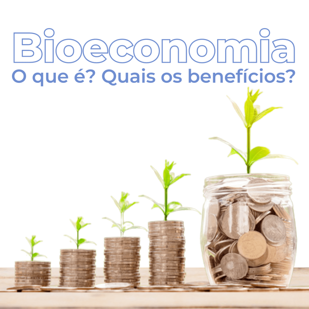 O que &eacute; Bioeconomia?