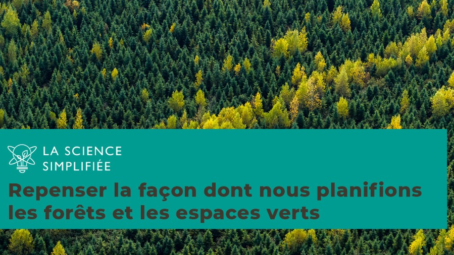 Repenser la fa&ccedil;on dont nous planifions les for&ecirc;ts et les espaces verts