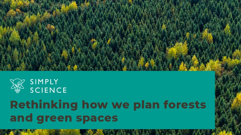 Rethinking how we plan forests and green spaces