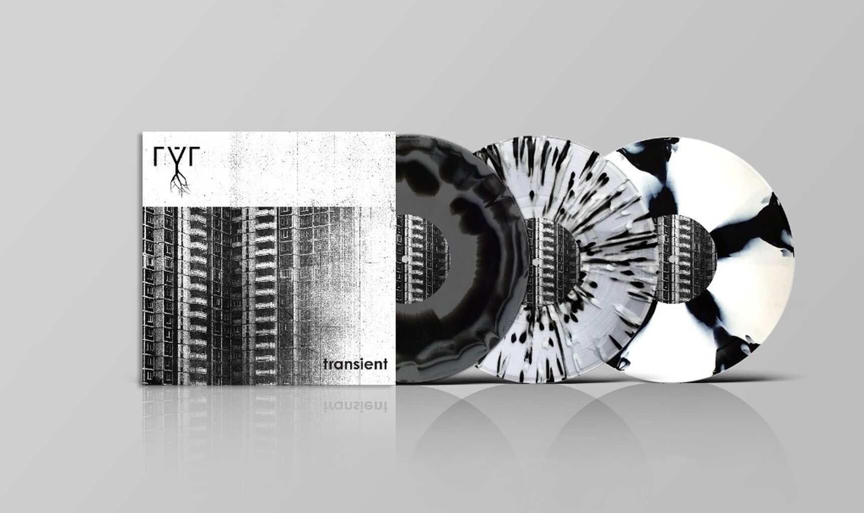 order "transient" on vinyl via Golden Antenna