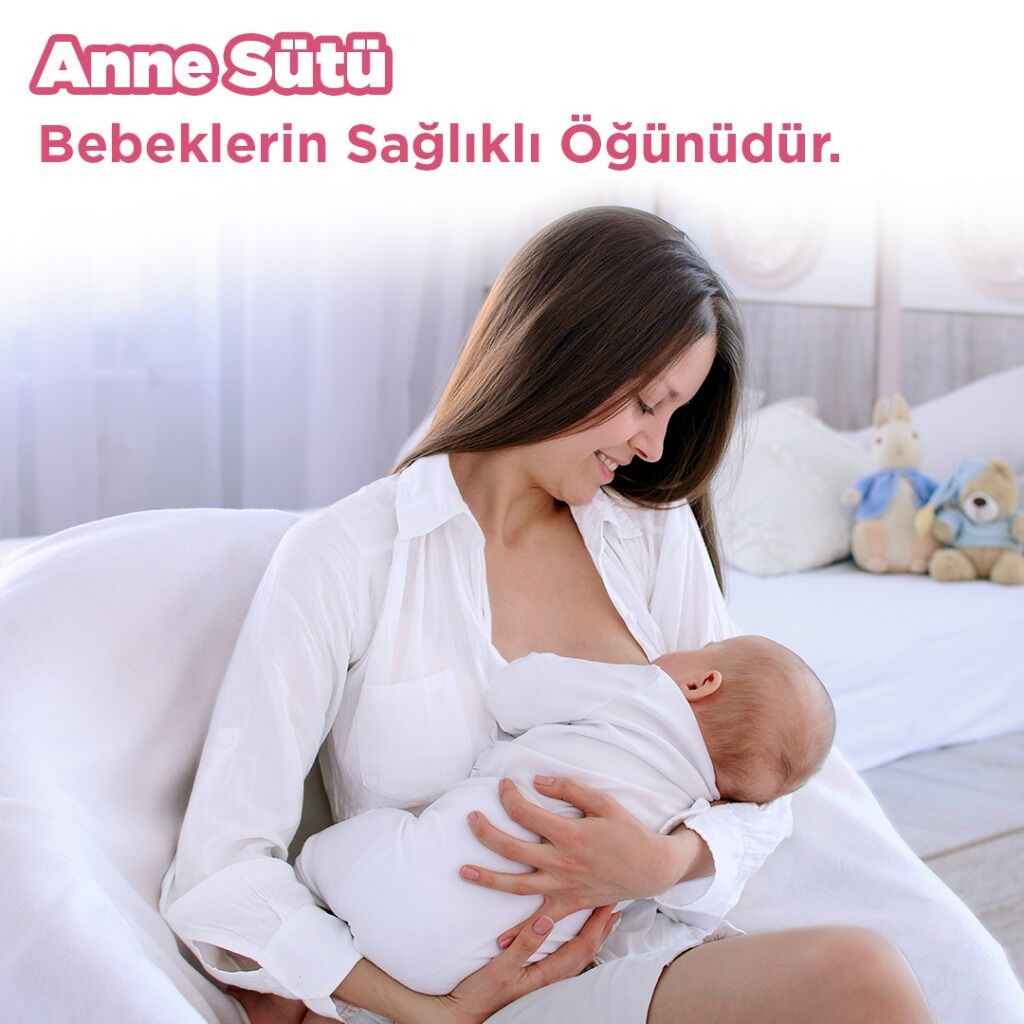 Anne S&uuml;t&uuml;