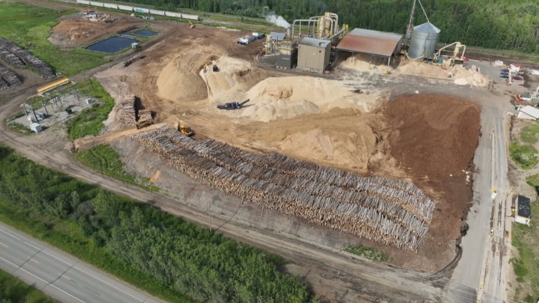 Wood from B.C. forests is being burned for electricity billed as green &mdash; but critics say that's deceptive